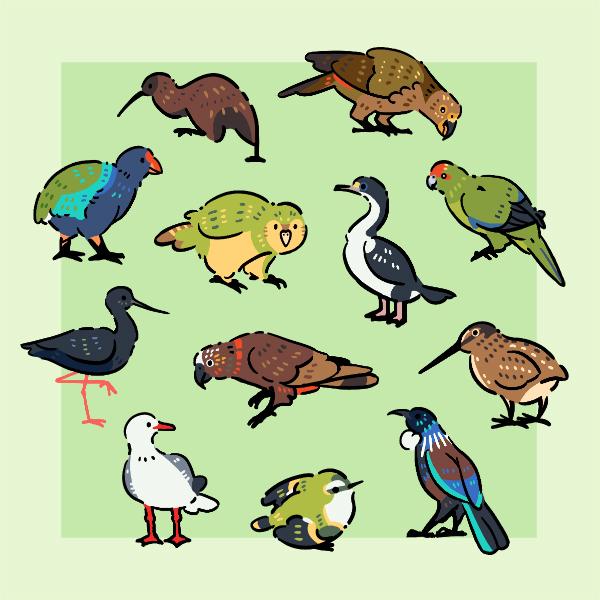 A digital drawing of twelve different stylized birds endemic to New Zealand. The following birds are depicted: The North Island brown kiwi, kākāpō, kākā, kea, kākāriki (red-crowned parakeet), takahē, tūī, titipounamu (rifleman), tutukiwi (Snares snipe), kakī (black stilt), kawau pāteketeke (New Zealand king shag) and tarāpunga (red-billed gull).
